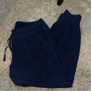 Patagonia Navy Joggers